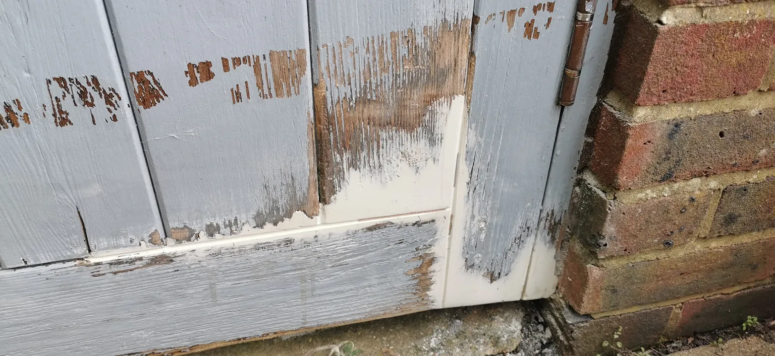 Wood filled with Epoxy filler